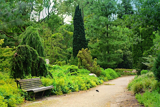 Peaceful garden path for walking meditation
