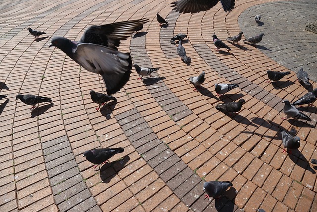 Abstract colorful art reflecting peace